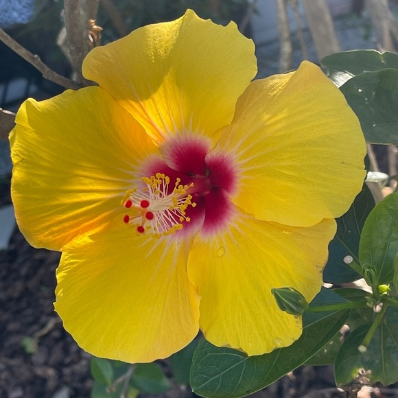 Meet your Posher, Kimberley - Picture 12 of 16